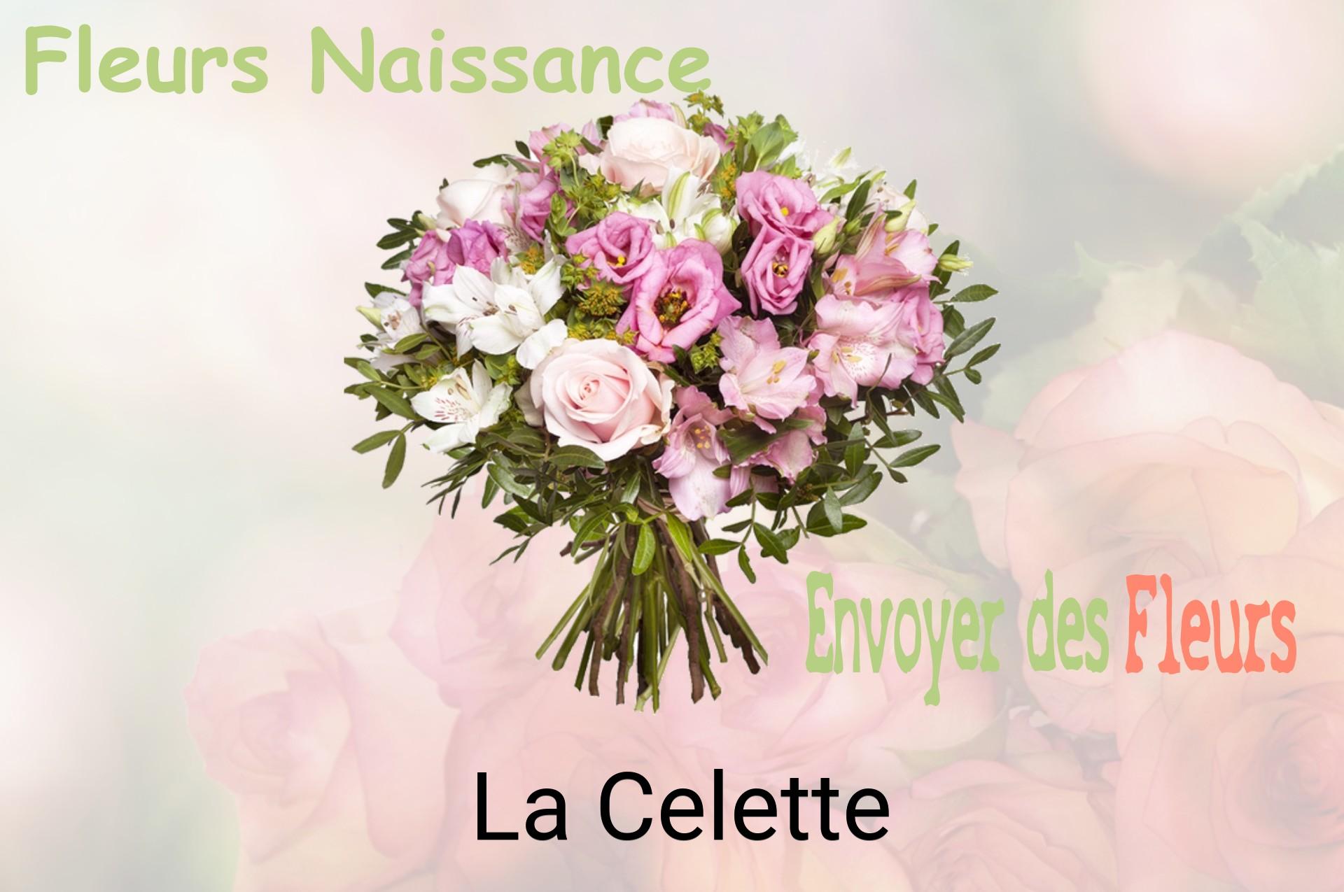 Bouquet de fleurs de naissance livré à La Celette